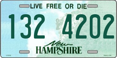 NH license plate 1324202