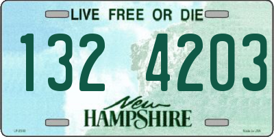 NH license plate 1324203