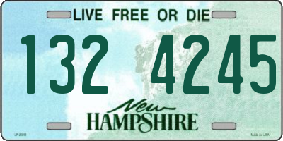 NH license plate 1324245