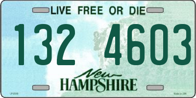 NH license plate 1324603