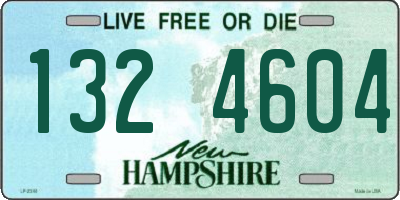 NH license plate 1324604