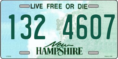 NH license plate 1324607