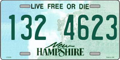NH license plate 1324623