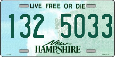 NH license plate 1325033