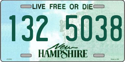 NH license plate 1325038