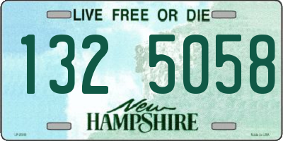 NH license plate 1325058