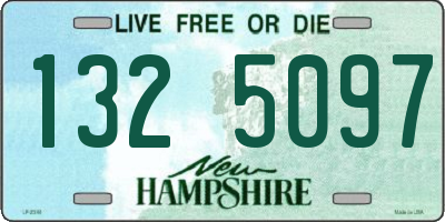 NH license plate 1325097