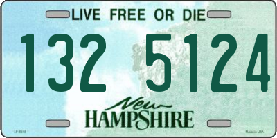 NH license plate 1325124