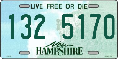 NH license plate 1325170