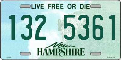 NH license plate 1325361