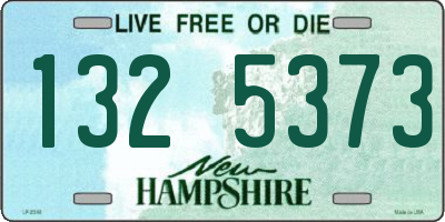 NH license plate 1325373