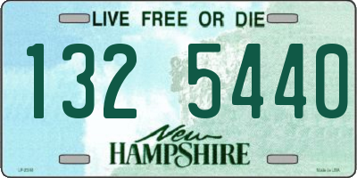 NH license plate 1325440