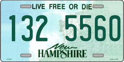 NH license plate 1325560