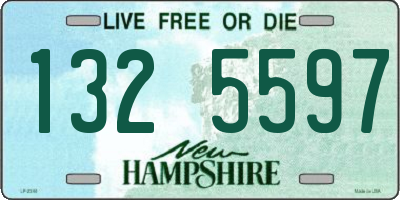 NH license plate 1325597