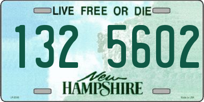 NH license plate 1325602