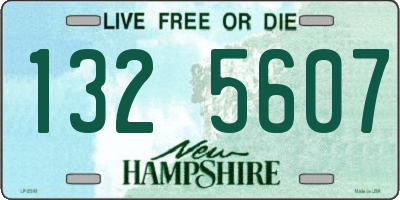 NH license plate 1325607