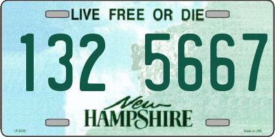 NH license plate 1325667