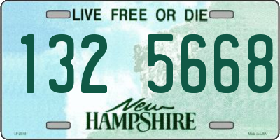 NH license plate 1325668
