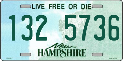 NH license plate 1325736