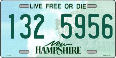 NH license plate 1325956