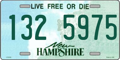 NH license plate 1325975