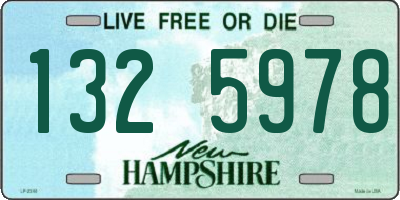 NH license plate 1325978