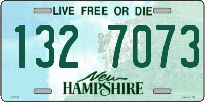 NH license plate 1327073