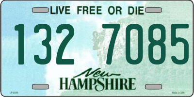 NH license plate 1327085