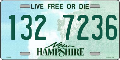 NH license plate 1327236