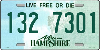 NH license plate 1327301