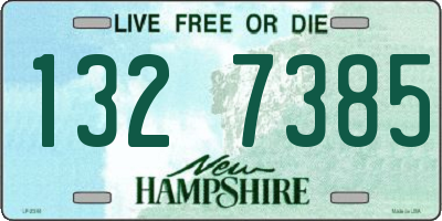 NH license plate 1327385