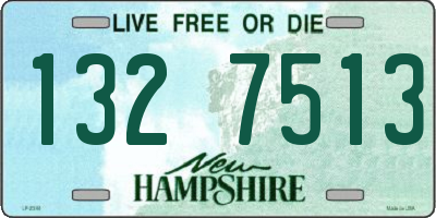 NH license plate 1327513