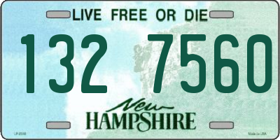 NH license plate 1327560