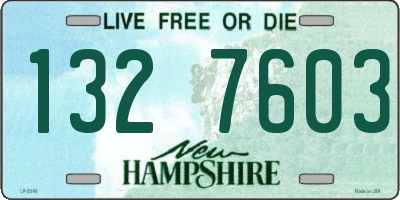 NH license plate 1327603
