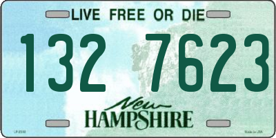NH license plate 1327623