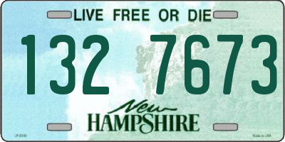NH license plate 1327673