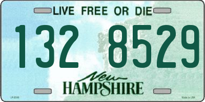 NH license plate 1328529