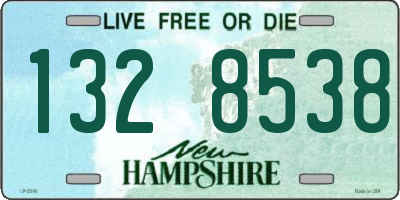 NH license plate 1328538