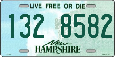 NH license plate 1328582