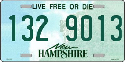 NH license plate 1329013
