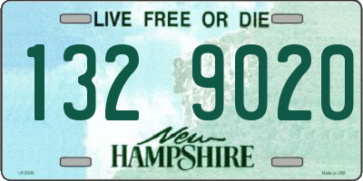 NH license plate 1329020
