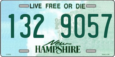 NH license plate 1329057