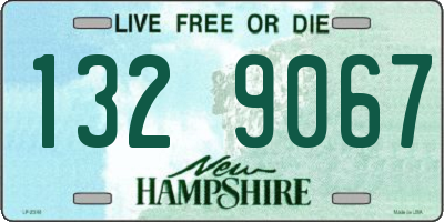 NH license plate 1329067