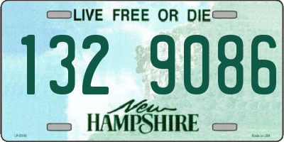 NH license plate 1329086