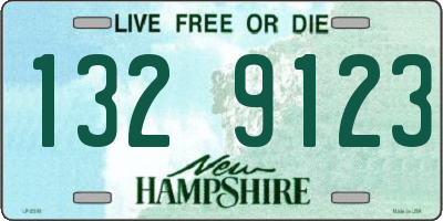 NH license plate 1329123