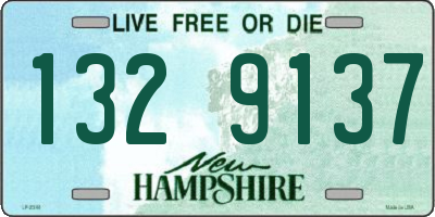 NH license plate 1329137