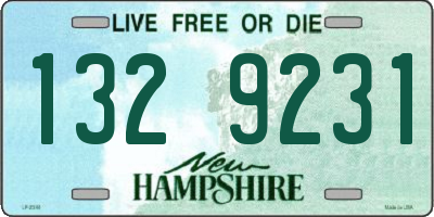 NH license plate 1329231