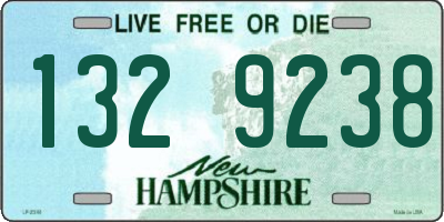 NH license plate 1329238