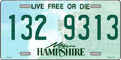 NH license plate 1329313