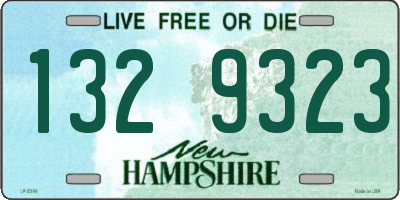 NH license plate 1329323